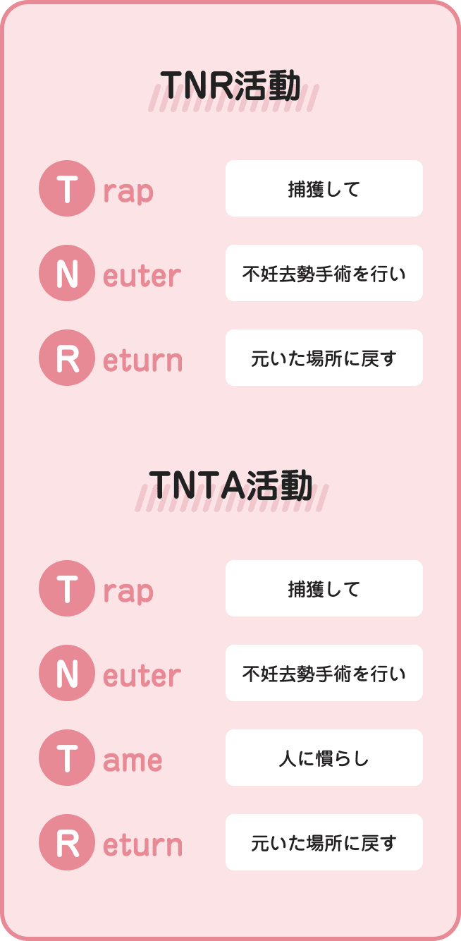 [TNR活動]Trap（捕獲して）+ Neuter（不妊去勢手術を行い）+ Return(元いた場所に戻す) [TNTA活動]Trap（捕獲して）+ Neuter（不妊去勢手術を行い）+ Tame(人に慣らし)）+ Adopt(譲渡する)