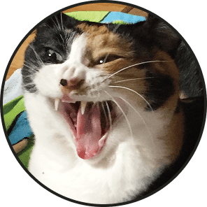 江口夏実 プロフィール画像