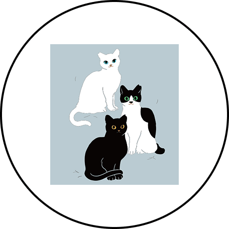 とき村 十五 プロフィール画像