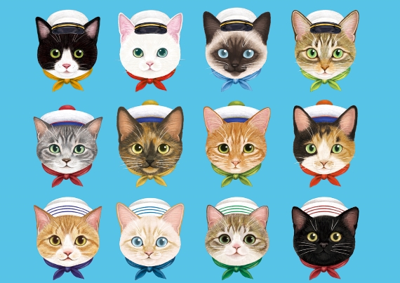 marine_neko_min.jpg