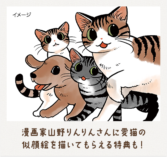 漫画家山野りんりんさんに愛猫の 似顔絵を描いてもらえる特典も！