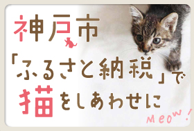 神戸市「ふるさと納税」で猫をしあわせに Meow!