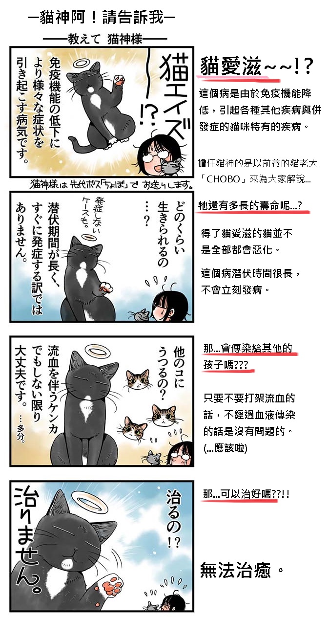 貓漫畫10話-2.jpg