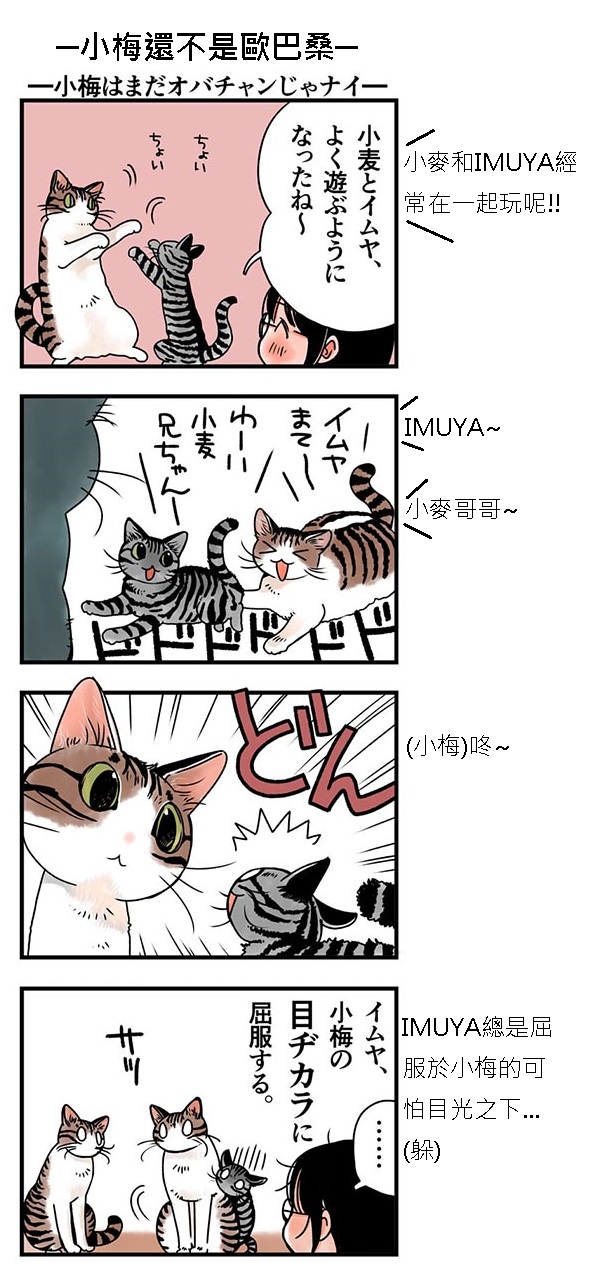 貓漫畫13話-2.jpg