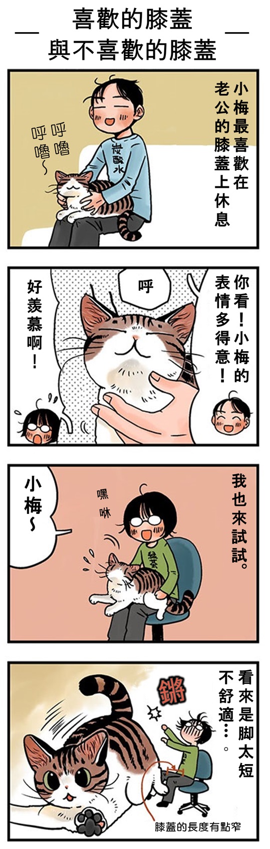 貓咪勒! LIFE~ 第53話【貓咪偏心?!】│Felissimo貓部